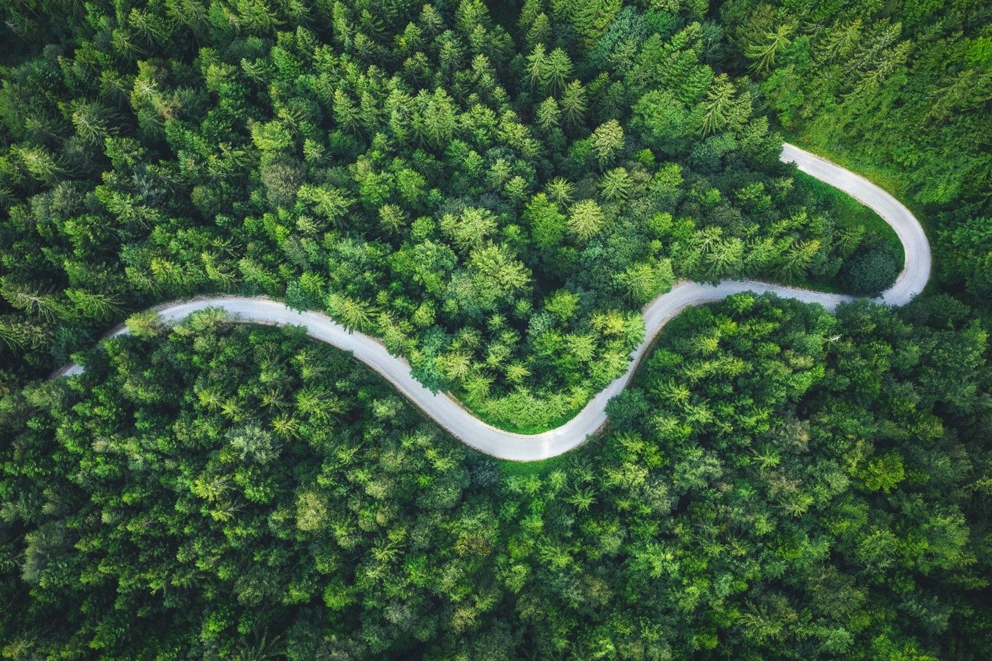 Put prema održivom poslovanju: 5 ključnih koraka za ekološki i društveno odgovorno poslovanje